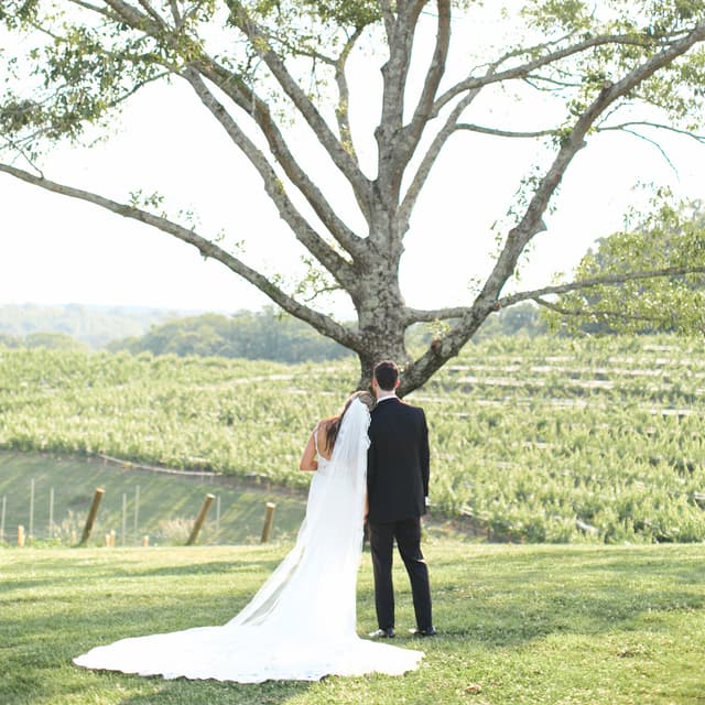 "I Do" Wedding Package at The Complexion Company in Greenville, SC